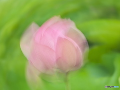 トリック