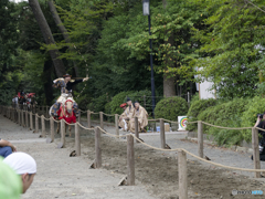 射抜く瞬間