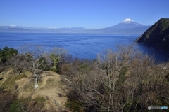 海の向こうの展望