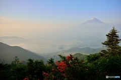 日差し