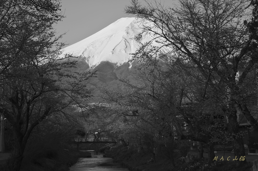 新名庄川の朝