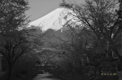 新名庄川の朝
