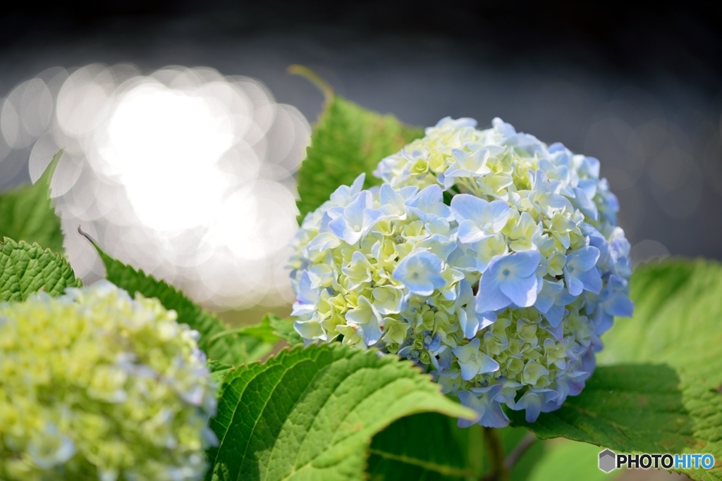 キ・ラ・メ・キ