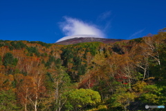 富士の秋