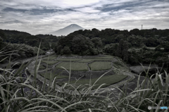 初夏の風景