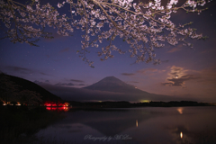 星空と夜桜と富士山と