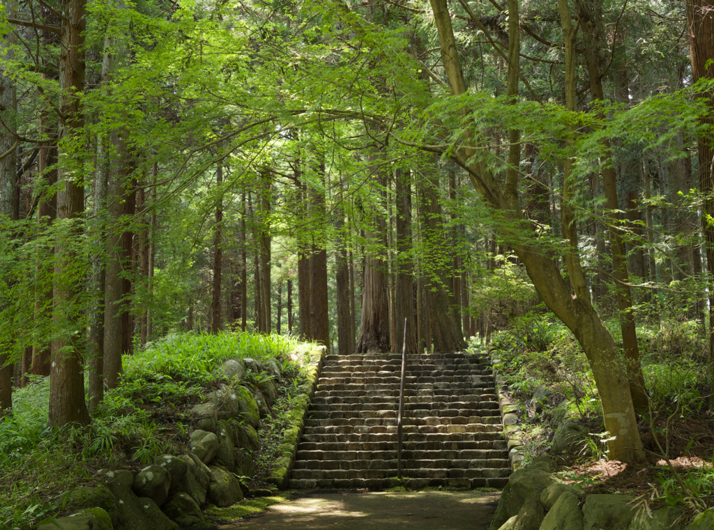 天狗の森