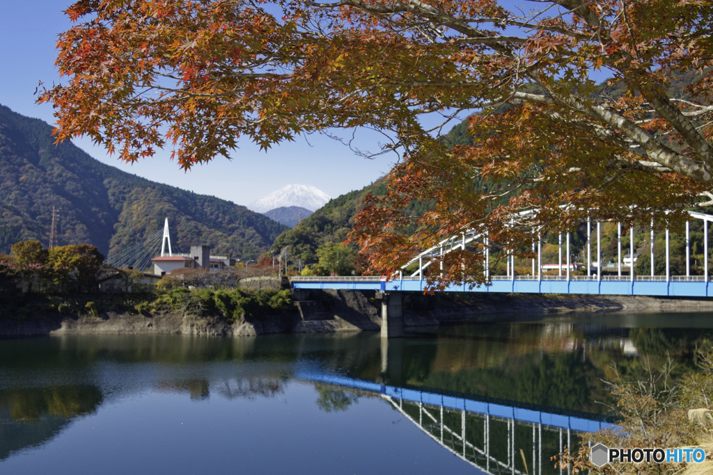 楓のある風景