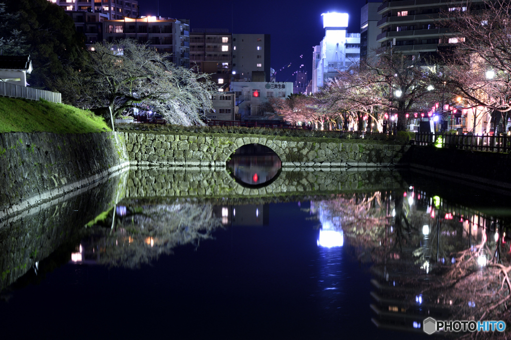 お堀の桜