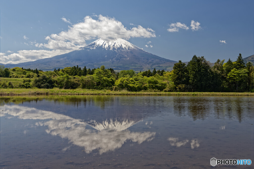 田園の富士