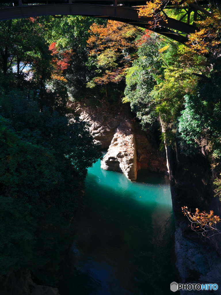 桂川の紅葉