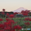 秋の朝景