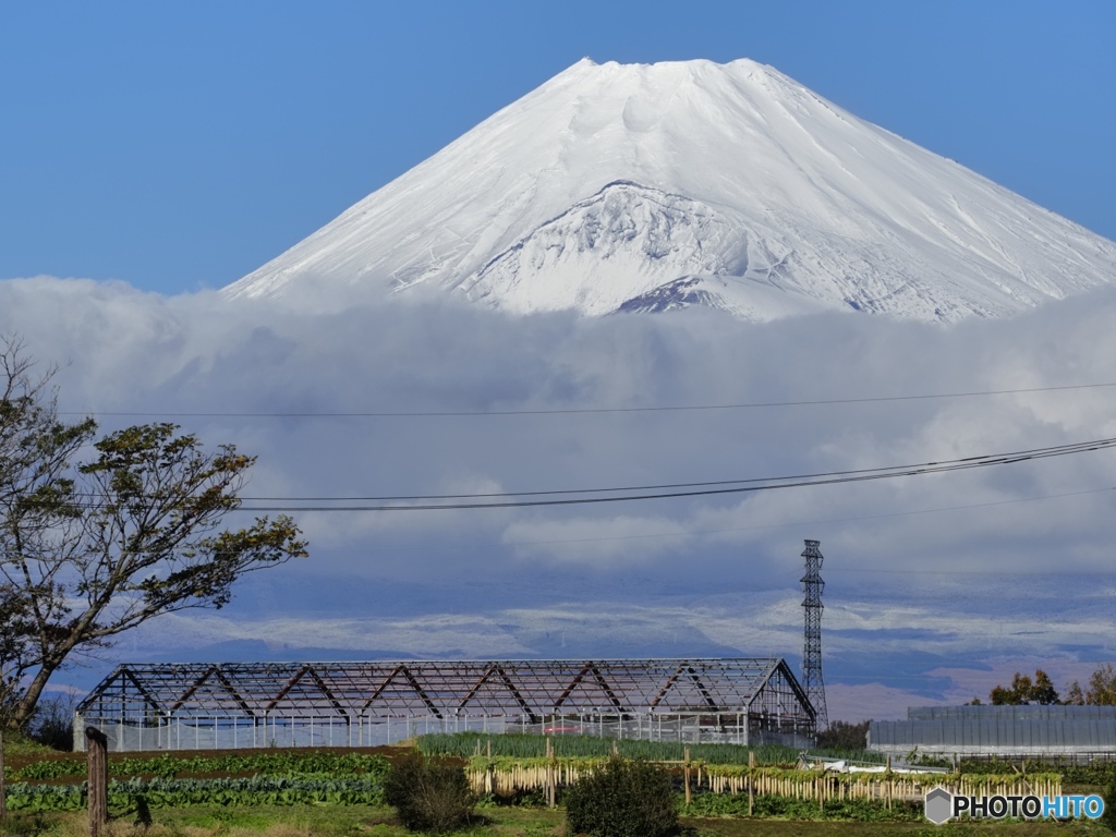 圧縮効果