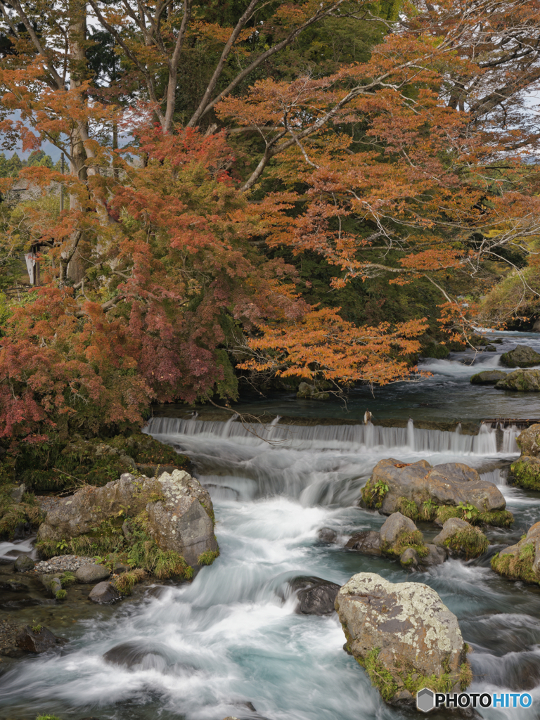 清流と紅葉
