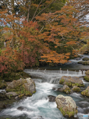 清流と紅葉