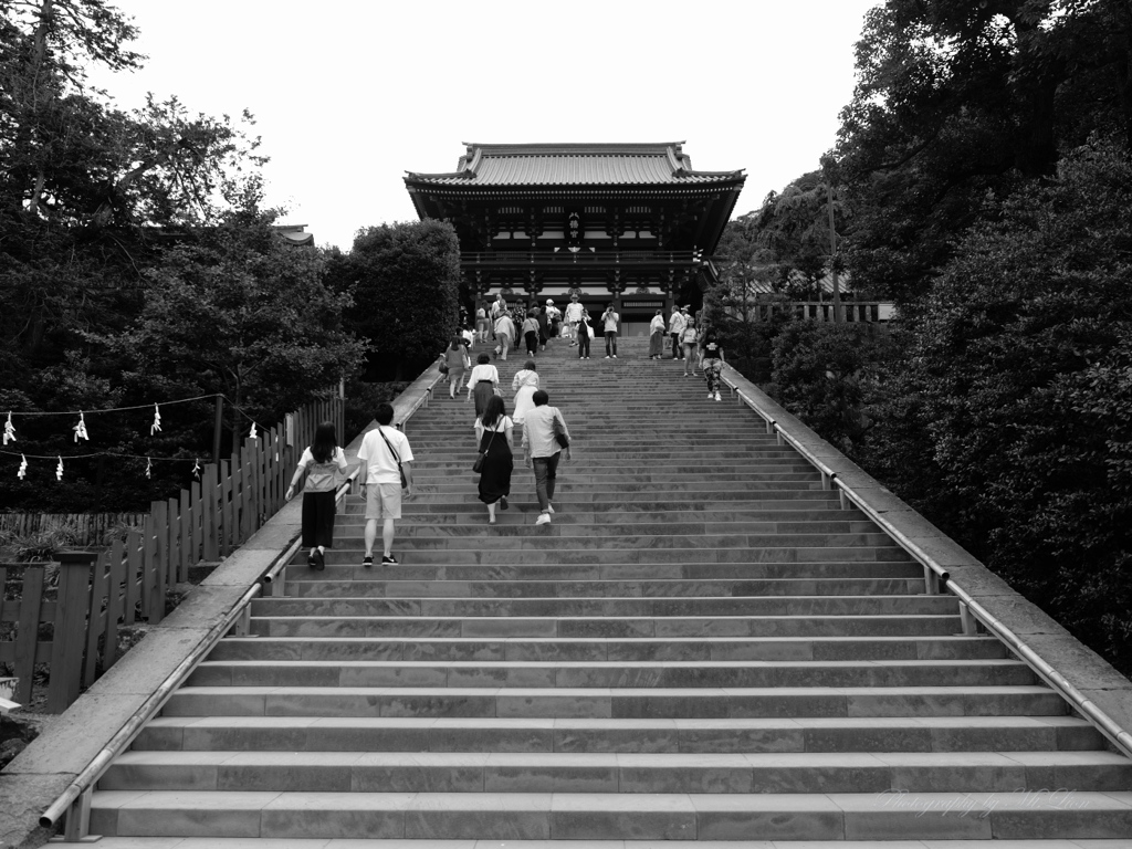 登るの？