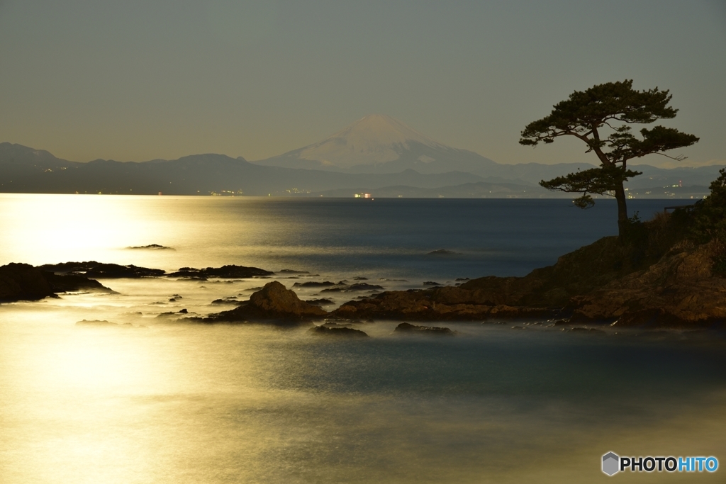 金色の海