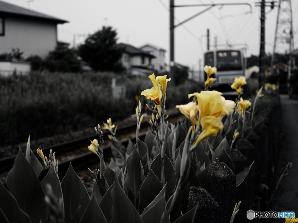 下手の横好き
