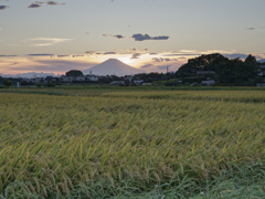 夕焼けを待つ