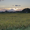 夕焼けを待つ