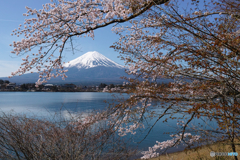 鍵括弧の中