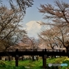 春