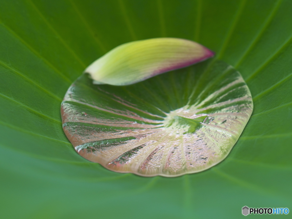 虹色の水玉