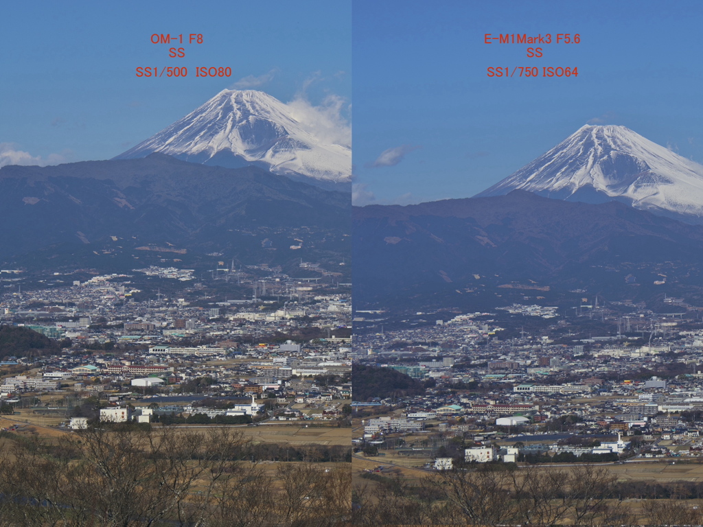 お遊び企画