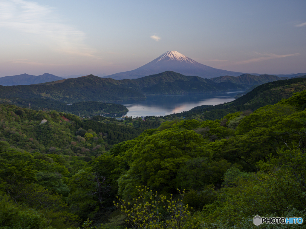 新緑の谷と富士
