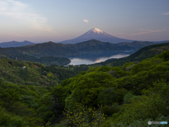 新緑の谷と富士