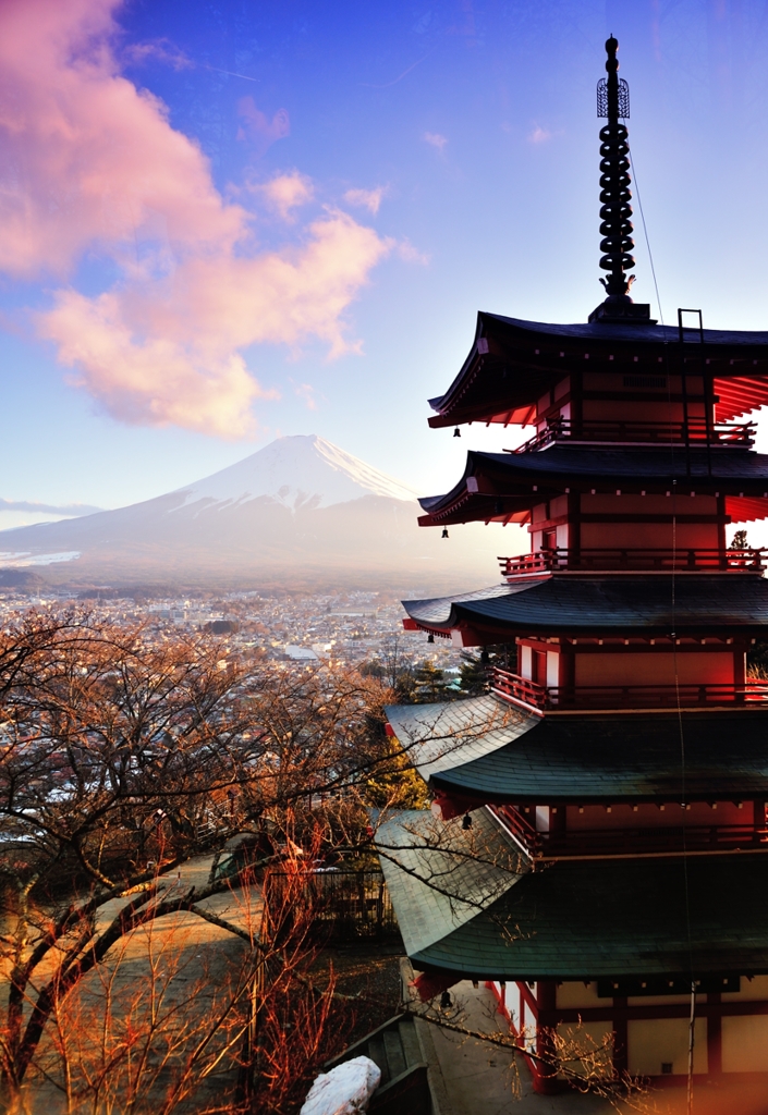 日本美