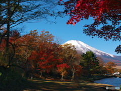 湖畔の紅葉