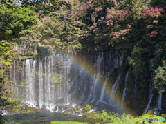 色彩の飛沫