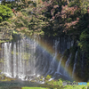 色彩の飛沫