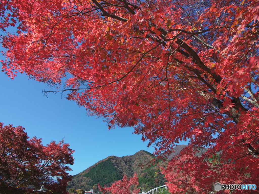 フィルターワークの失敗