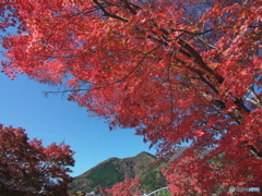 フィルターワークの失敗