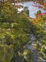 小さな秋 小渓谷編