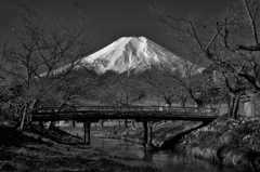 桂川と富士