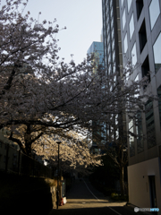朝陽