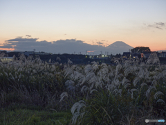 放置された田園の夕景