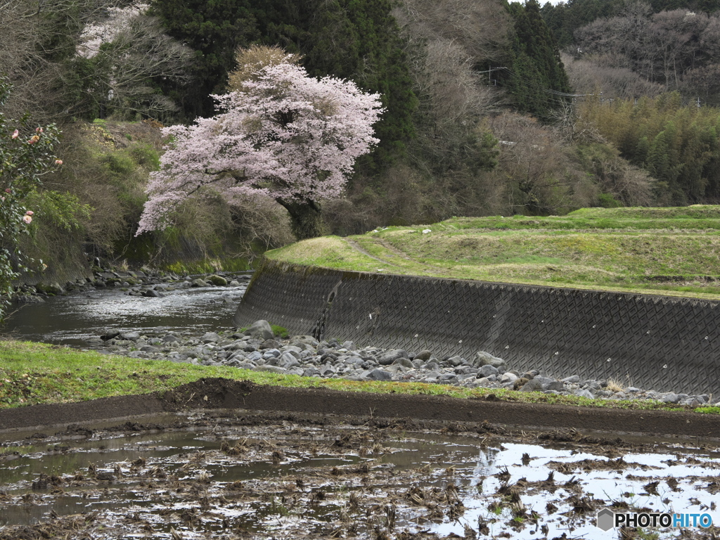 田起こしの季節