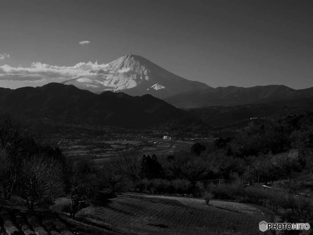 理想の色を求めて