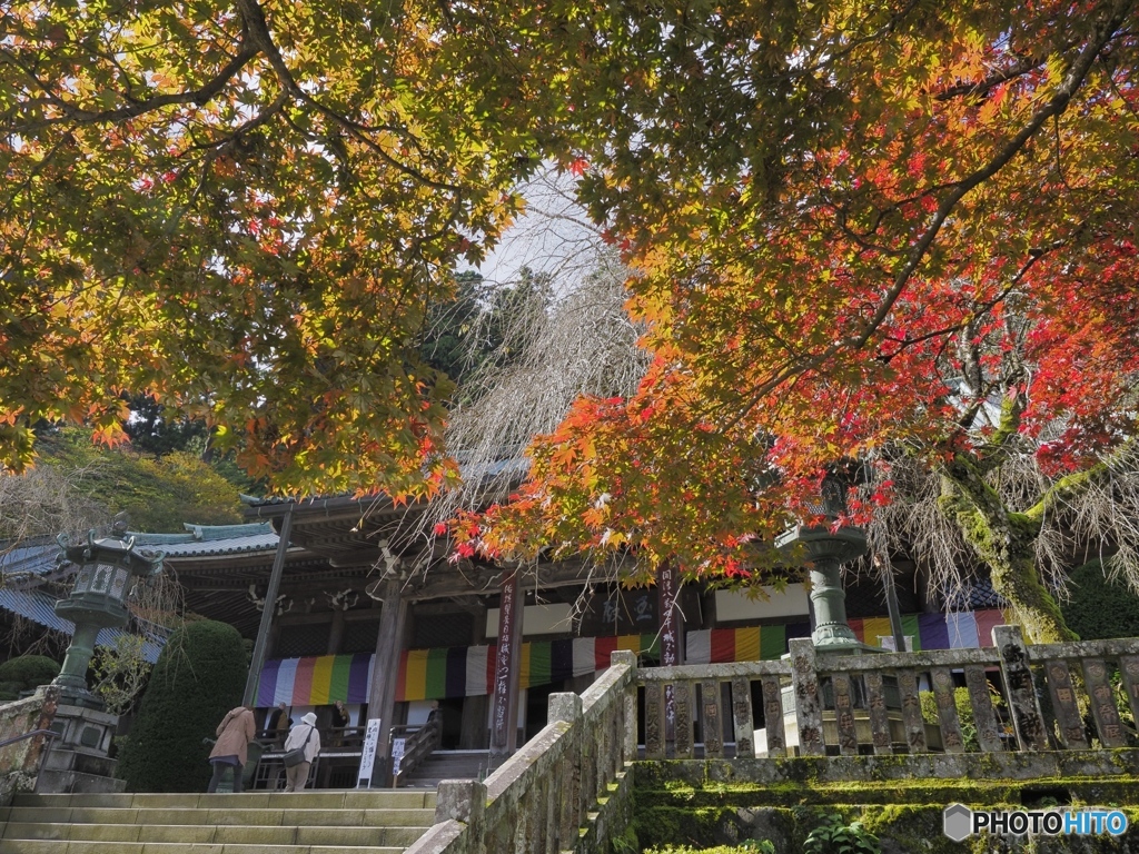 祈願は長寿と繁栄？