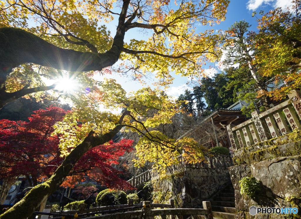 寺の紅葉