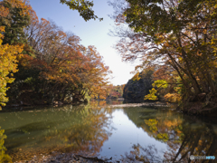 テスト３ (8−18mm)