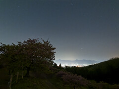 夜桜Type.DxO