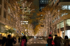 Road of Light
