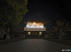 今年の正月飾り