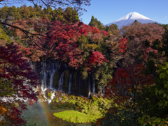 虹と紅葉と富士山と