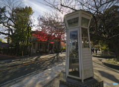 山手散歩